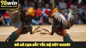 Đá Gà Cựa Sắt