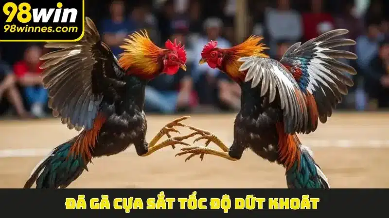 Đá Gà Cựa Sắt